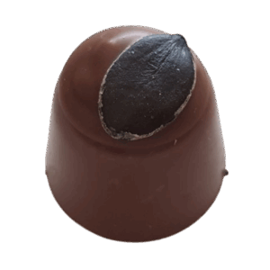 Kürbiskernlikör Einzelpraline • Vollmilchschokolade