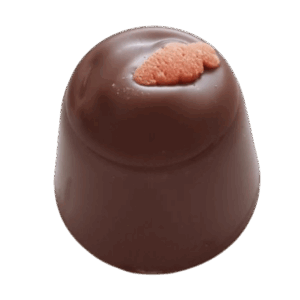 Karotte Einzelpraline • Vollmilchschokolade